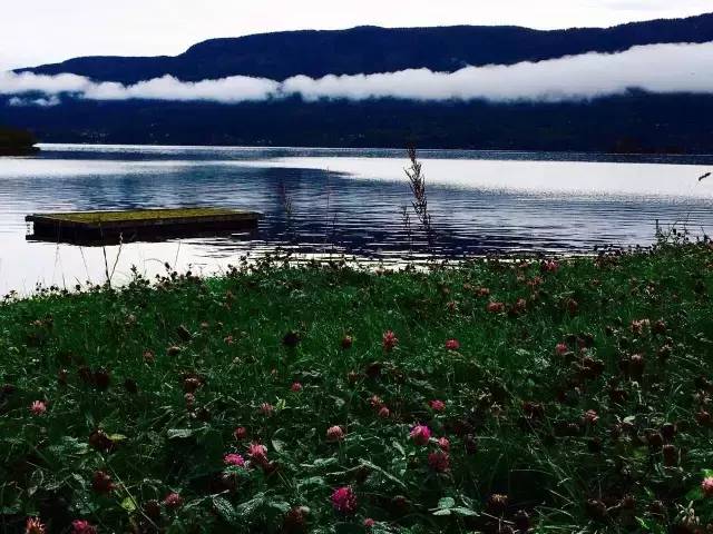 33.webp.jpg 好色先生视频