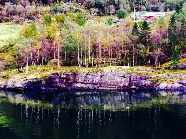 34.webp.jpg 好色先生视频