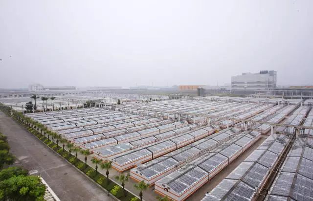 14.jpg 好色先生视频