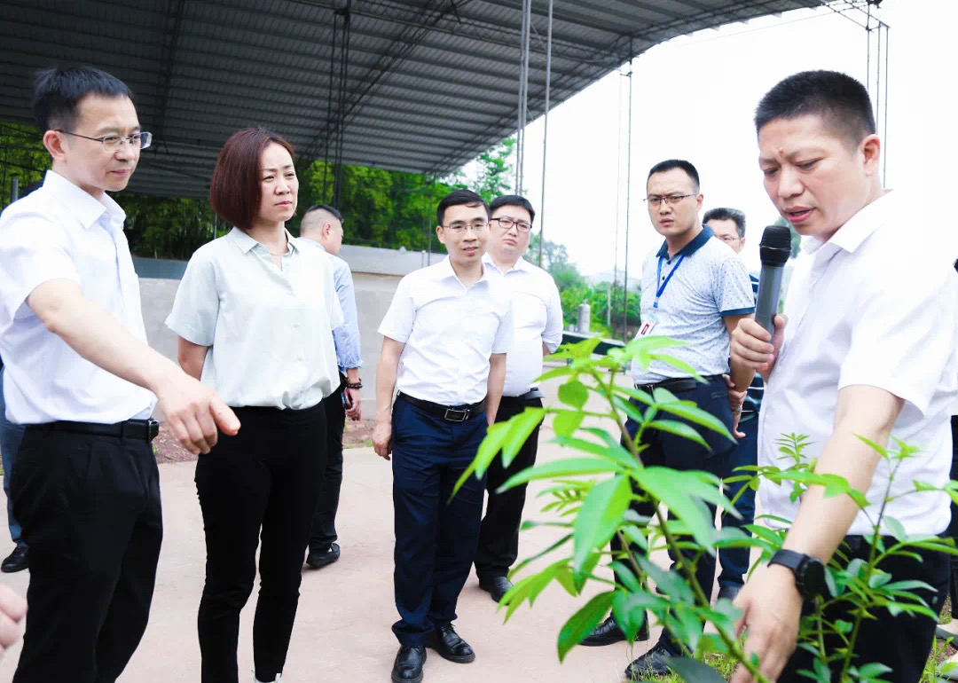 14.jpg 好色先生视频