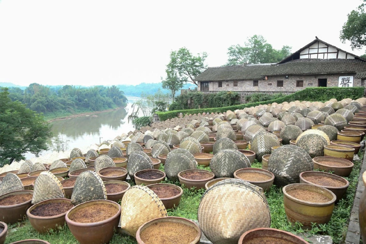 16.jpg 好色先生视频