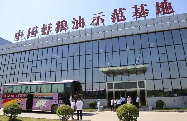 2.webp.jpg 好色先生视频